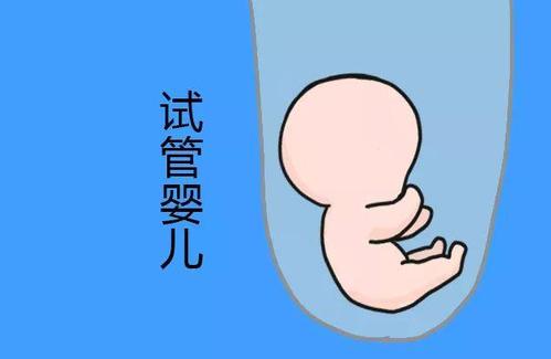 王医生